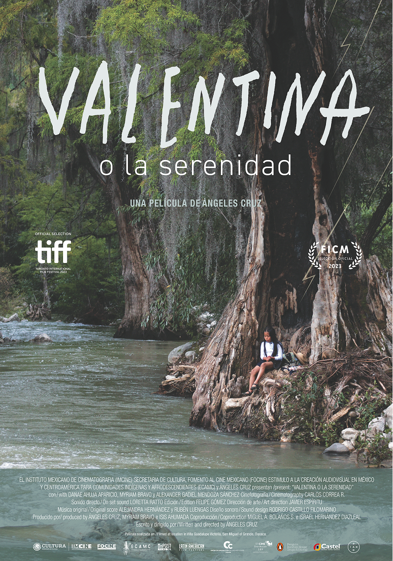 Cartel_Valentina_Morelia 5